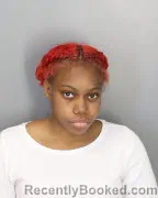 Mugshot of DIAMOND E WRIGHT