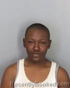 Mugshot of TRISHA R MAXWELL