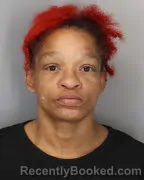 Booking photo from Shelby County, Tennessee