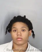 Mugshot of BRIANNA N TODD