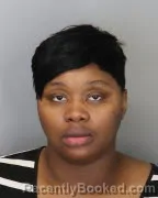 Mugshot of ERICKA PATRICE CHISM