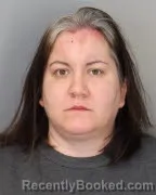 Mugshot of CARRIE NELSON