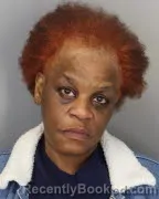 Mugshot of VIVIAN ANN MERKSON