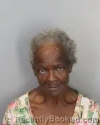 Mugshot of SHERRY DIANE LEWIS