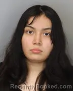 Mugshot of ALEXANDRA D GARCIA booked in Shelby County, Tennessee on March 24, 2026