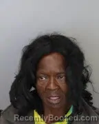 Mugshot of SHERRY DIANE LEWIS booked in Shelby County, Tennessee on March 27, 2026