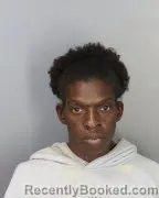 Mugshot of SHKITA LACHELLE LEWIS booked in Shelby County, Tennessee on March 28, 2026