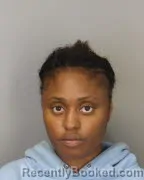 Mugshot of BREANNA N SHIELDS booked in Shelby County, Tennessee on March 31, 2026