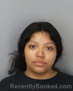 Mugshot of EVELYN CORDERO booked in Shelby County, Tennessee on May 25, 2026