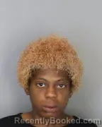 Mugshot of TIERRA LASHAY WILLIAMS booked in Shelby County, Tennessee on June 15, 2026