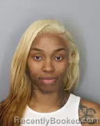 Mugshot of APRIL MESHELLE ROGERS booked in Shelby County, Tennessee on June 22, 2026