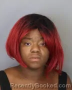 Mugshot of BRIANNA BRANCH booked in Shelby County, Tennessee on June 22, 2026