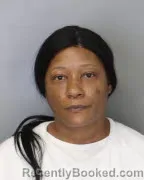 Mugshot of TENIKA MICHELLE VANN booked in Shelby County, Tennessee on July 2, 2026