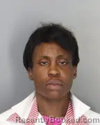 Mugshot of CHRISTINE T BLAYDE booked in Shelby County, Tennessee on July 14, 2026