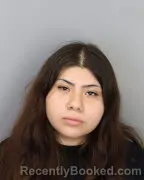 Mugshot of Nayeli Alejandre booked in Shelby County, Tennessee on September 13, 2026