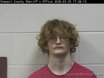 Mugshot of KEGAN S WILSON booked in Stewart County, Tennessee on March 25, 2026