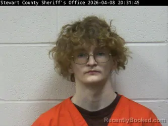 Mugshot of KEGAN S WILSON booked in Stewart County, Tennessee on April 8, 2026