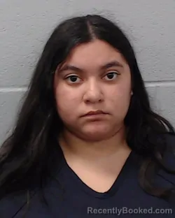 Booking photo from Hays County, Texas
