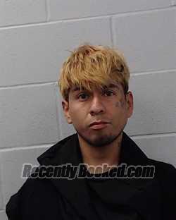 Booking photo from Hays County, Texas