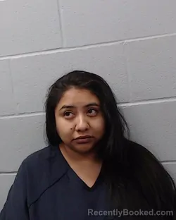 Booking photo from Hays County, Texas