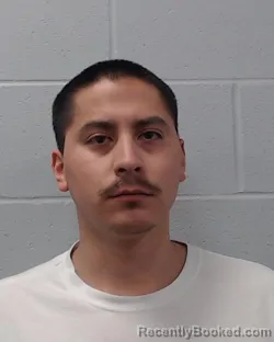 Booking photo from Hays County, Texas