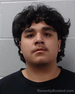 Booking photo from Hays County, Texas