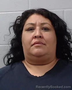 Booking photo from Hays County, Texas