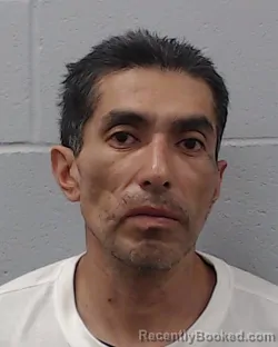 Booking photo from Hays County, Texas