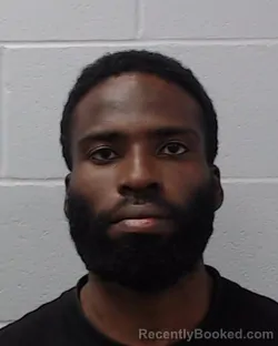Mugshot of Elameen Olawale Ekisolk-Salau