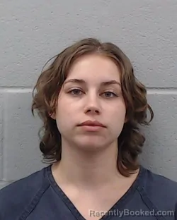 Mugshot of Amber Dawn Allee