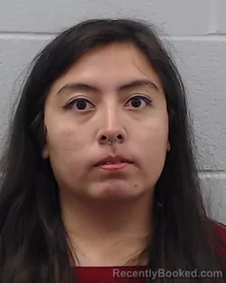 Mugshot of Corina Contreras Lopez