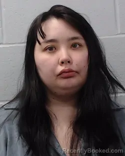 Mugshot of Danielle Young Curtis