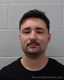 Mugshot of Joshua Litmanovich