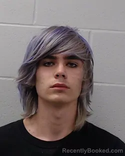 Mugshot of Pierce James Elliot Sullivan