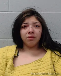 Mugshot of Sally Vasquez