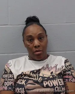 Mugshot of Crystal Lynn Brady