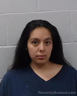 Mugshot of Sheali Alexis Herrera