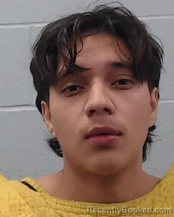 Mugshot of Ryan Alexander Bustillo