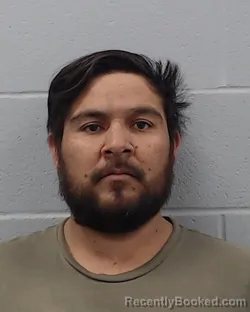 Mugshot of Jorge Eduardo Olagueluna