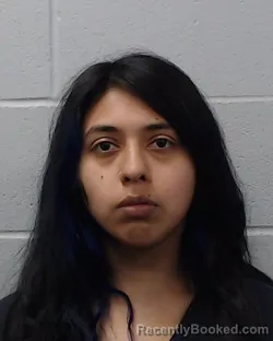 Booking photo from Hays County, Texas