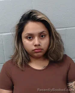 Mugshot of Lizette Gutierrez Silverio