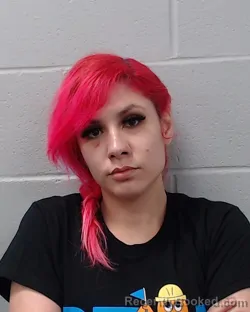 Mugshot of Christy Marie Asevedo