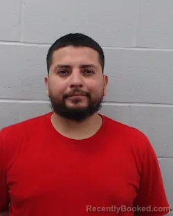 Mugshot of Efren Alfaro-Gonzalez