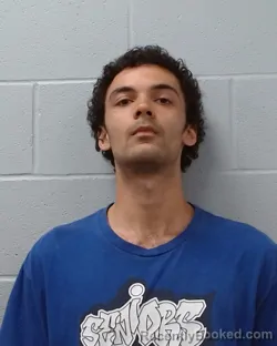 Mugshot of Sebastian Adonis McWilliams