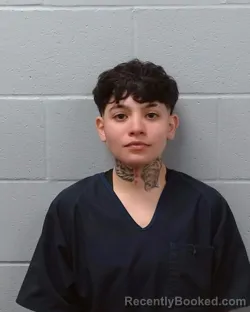 Mugshot of Sarai Denae Diaz