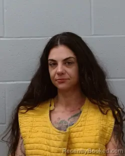 Mugshot of Alaina Antoinnette James