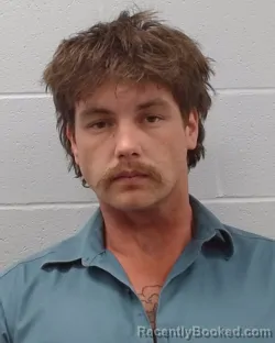 Mugshot of Taylor Michael Anthis