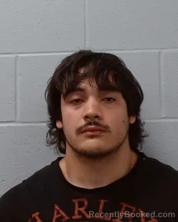Mugshot of Jared Israel Fernandez