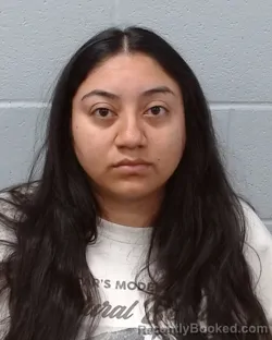 Mugshot of Vanessa Nataly Zamorano