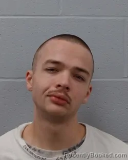 Mugshot of Landon Wayne Henson